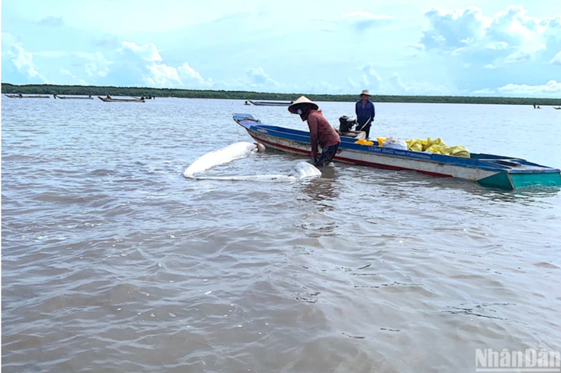 Vận động người dân không khai thác nghêu giống tại Vườn Quốc gia Mũi Cà Mau