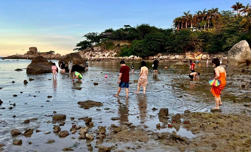 Rạn san hô Hòn Chồng (Nha Trang) nguy cơ bị tàn phá