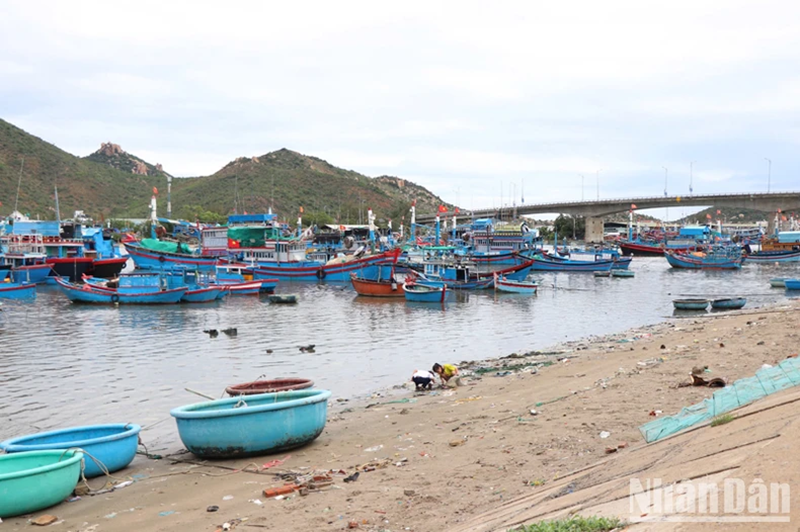 Ninh Thuận: Ra quân thu dọn hàng trăm khối rác thải ở đầm Nại