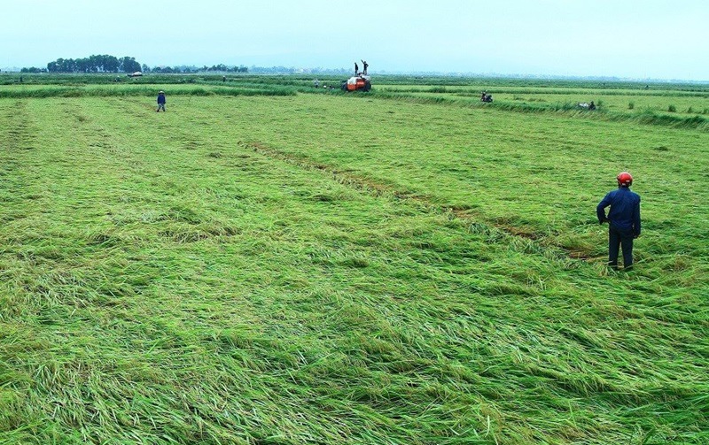 Bảo hiểm cho nông dân trước rủi ro khí hậu