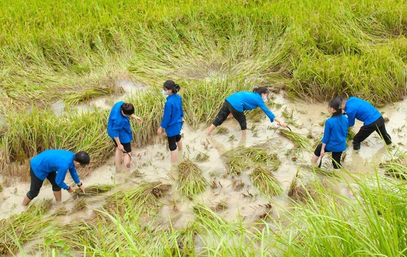 Bảo hiểm cho nông dân trước rủi ro khí hậu