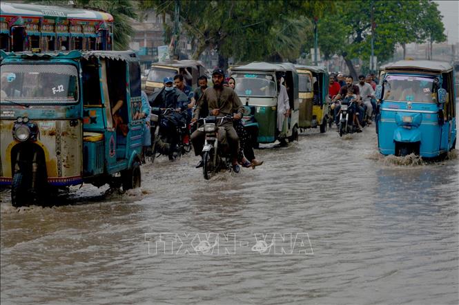 Khoảng 80% thành phố trên thế giới đối mặt với hiểm họa khí hậu nghiêm trọng