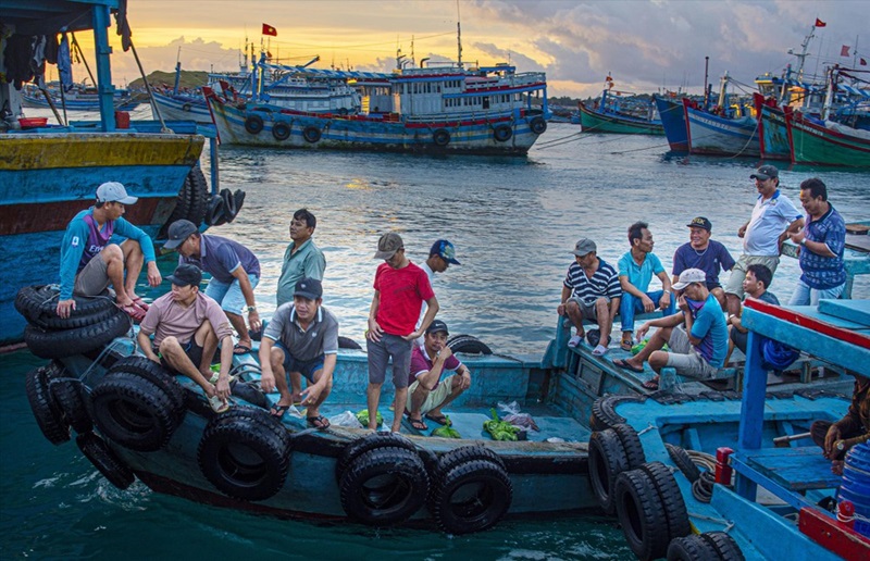 Phú Quý (Bình Thuận) cạn dần cá quý