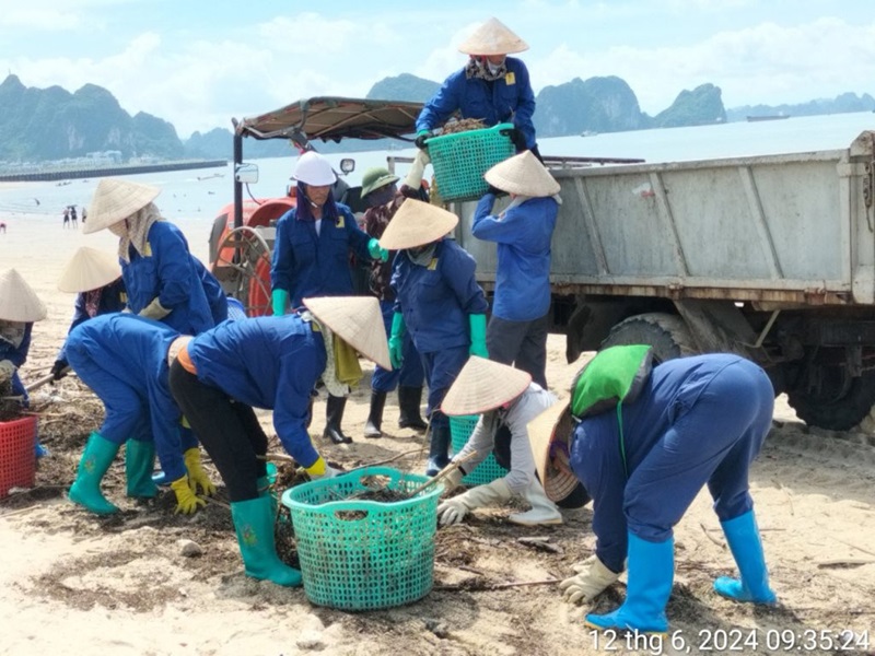 Quảng Ninh: Thu gom hàng trăm mét khối rác trôi nổi trên vịnh Hạ Long sau mưa