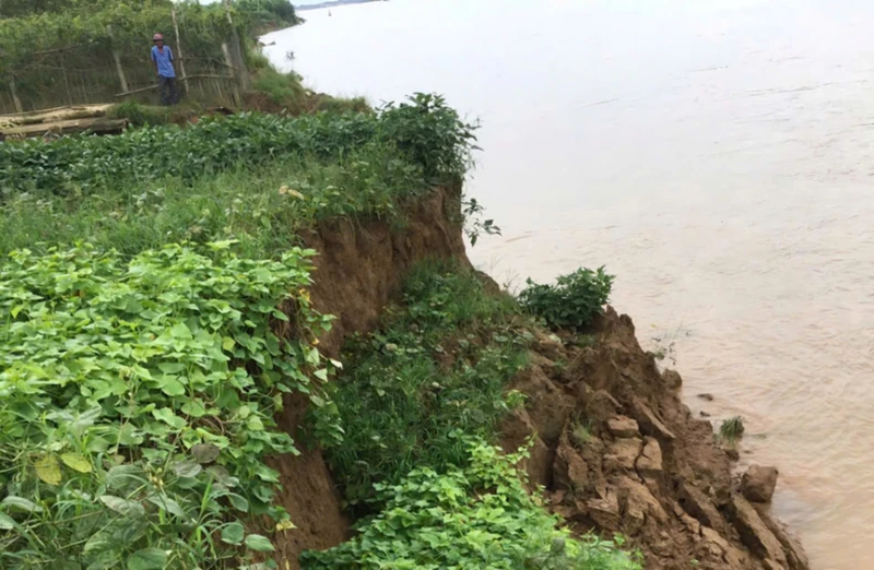 Vĩnh Phúc: Bờ sông Lô sạt lở 700m, uy hiếp tính mạng người dân