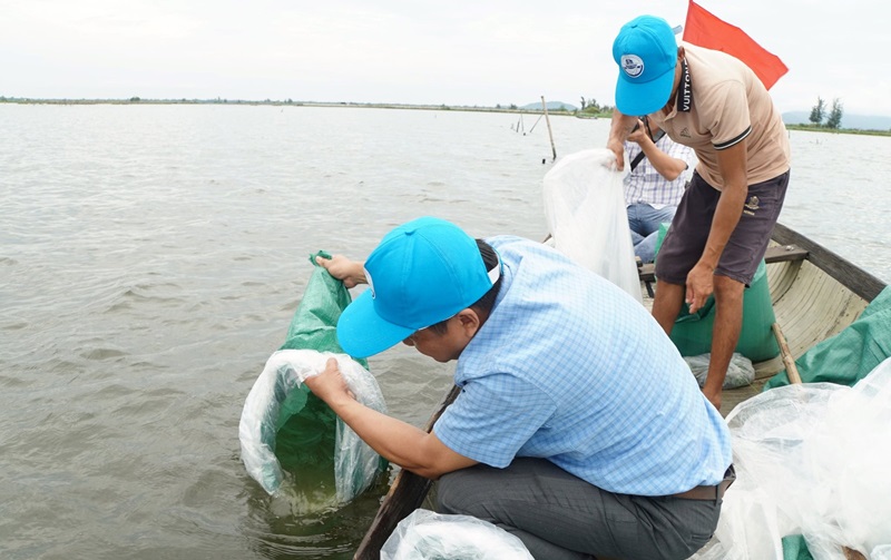 Thả hơn 250.000 con tôm, cua xuống đầm phá Tam Giang - Cầu Hai