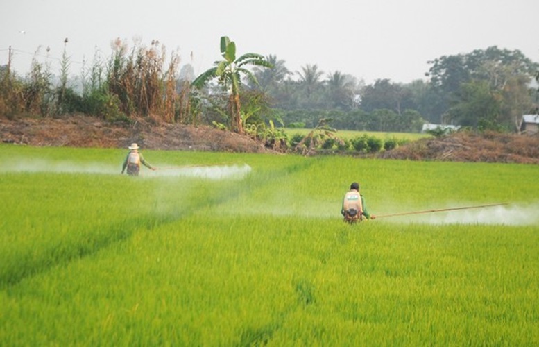 Dùng thuốc bảo vệ thực vật an toàn, hiệu quả để bảo vệ sức khỏe và môi trường