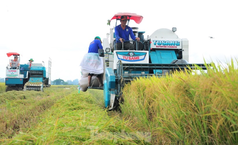 Dùng thuốc bảo vệ thực vật an toàn, hiệu quả để bảo vệ sức khỏe và môi trường