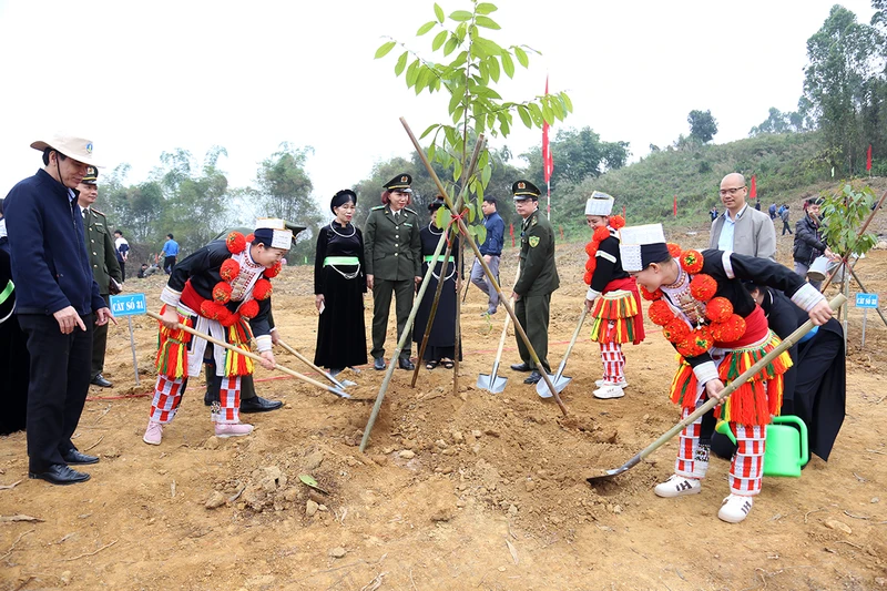 Tuyên Quang hoàn thành trước 1 năm Đề án trồng 1 tỷ cây xanh