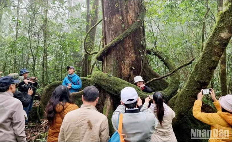 Chia sẻ kết quả nghiên cứu khoa học phục vụ bảo tồn đa dạng sinh học