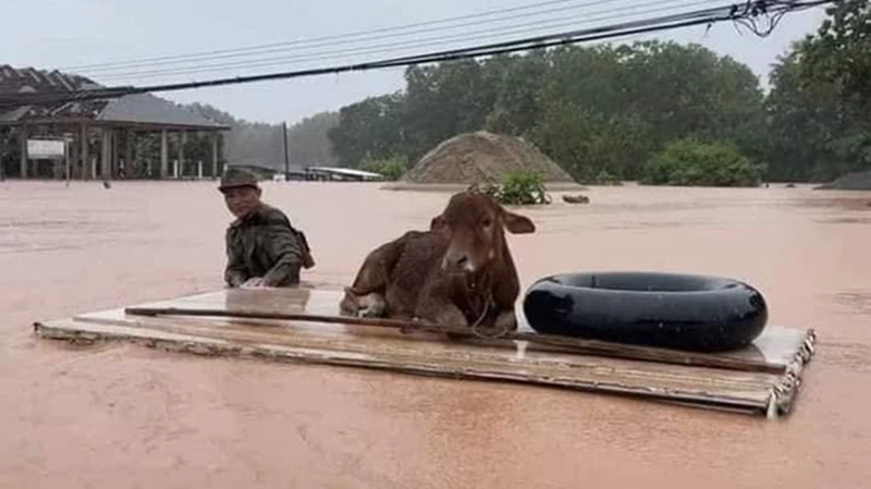 Bão Yagi gây thiệt hại nặng nề tại các tỉnh Bắc Lào