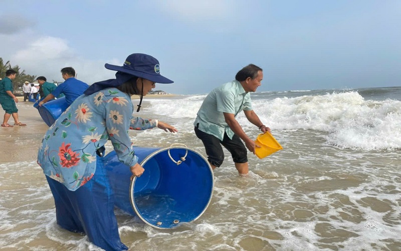 Thả giống ra biển, tái tạo nguồn lợi dưới đáy đại dương