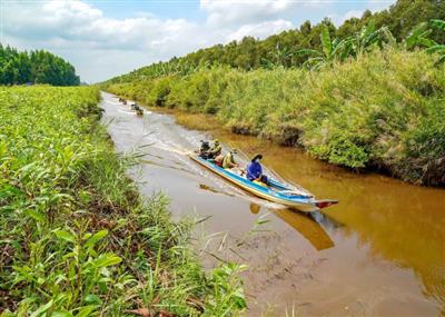 Báo động sạt lở bờ sông, bờ biển ở Cà Mau