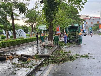 Bão số 1 Chaba làm gãy đổ hàng loạt cây xanh trên các tuyến phố trung tâm Hải Phòng