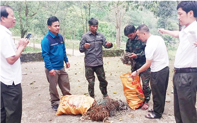 Bảo vệ động vật hoang dã ở Khu bảo tồn thiên nhiên Đakrông