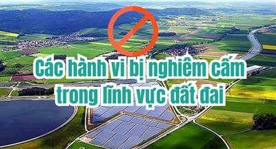 Các hành vi bị nghiêm cấm trong lĩnh vực đất đai là gì?