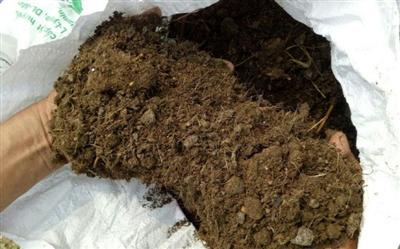 Cấc yếu tố hóa ảnh huỏng quá trình ủ phân Compost từ phân dơi và lục bình