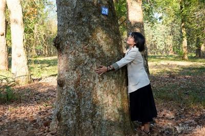 Chiêm ngưỡng 'báu vật' hơn một thế kỷ ẩn mình ở Đồng Nai