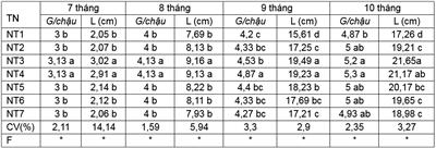 Đánh giá ảnh hưởng của phân Ca-Oligochitosan-Amin+TE lên sự sinh trưởng và phát triển của cây hoa lan dendrobium pink happy trồng ở Củ Chi, TP. Hồ Chí Minh