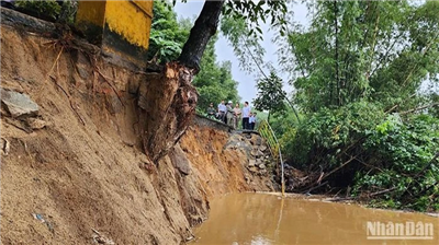 Đề nghị công bố tình huống khẩn cấp về thiên tai do mưa, lũ gây ra đối với khu vực sạt lở bờ sông Vệ, Quảng Ngãi