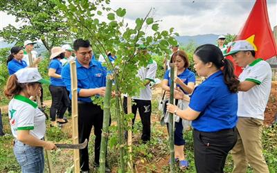 Điện Biên làm tốt công tác quản lý nhà nước về TN&MT -  Bài 5: Đấu tranh, ngăn chặn vi phạm về môi trường