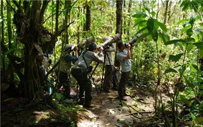 Ecuador - hồi sinh những thiên đường chim