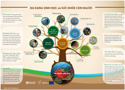 Hành động nhỏ, giá trị lớn để bảo tồn đa dạng sinh học của Trái Đất trước khi quá muộn?