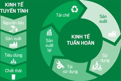 Thực hiện kinh tế tuần hoàn: Giải pháp giảm rác thải nhựa hiệu quả