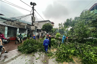 Lào Cai: Dông lốc diện rộng làm tốc mái, gãy đổ 166 ngôi nhà