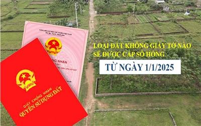 Luật Đất đai 2024, quy định chi tiết việc cấp giấy chứng nhận quyền sử dụng đất cho đất không có giấy tờ