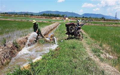 Mặn bủa vây, dân gặp khó