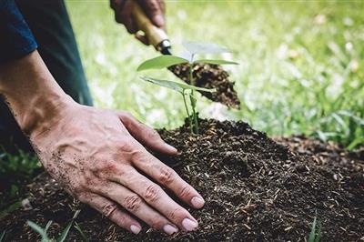 Mỗi người đều có thể góp phần phục hồi đất bị suy thoái