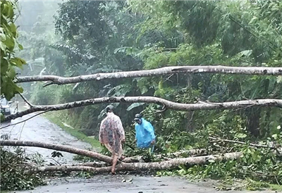 Quảng Nam: 2 người bị thương, nhiều nhà dân bị tốc mái