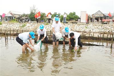 Thả hơn 250.000 con tôm, cua xuống đầm phá Tam Giang - Cầu Hai