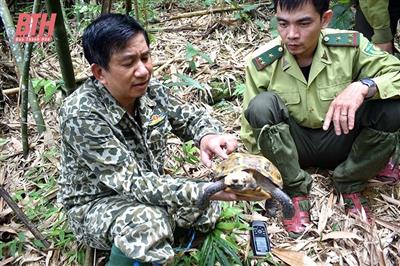 Thanh Hóa: Bảo tồn đa dạng sinh học ở các khu bảo tồn, vườn quốc gia