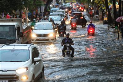 Thành phố Hồ Chí Minh: Ưu tiên các giải pháp ứng phó với biến đổi khí hậu