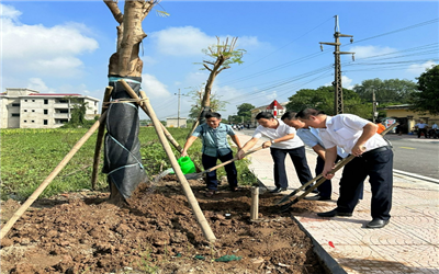 Tô Hiệu - Thường Tín: Quyết tâm xây dựng nông thôn mới nâng cao