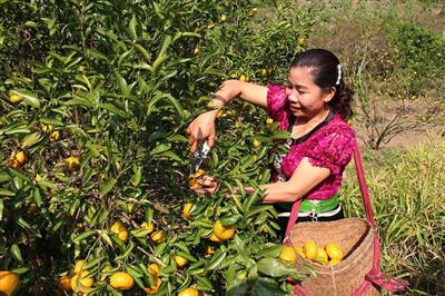 “Bơm vốn” để thúc đẩy kinh tế xanh