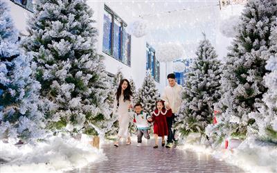 “Nhà của ông già Noel” bất ngờ xuất hiện tại khu đô thị của nhà sáng lập Ecopark