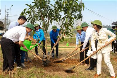 Tạp chí Tài nguyên và Môi trường trồng 1000 cây xanh tại Đại học Quốc gia Hà Nội