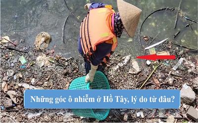 Hà Nội: Hồ Tây bị ô nhiễm lý do từ đâu